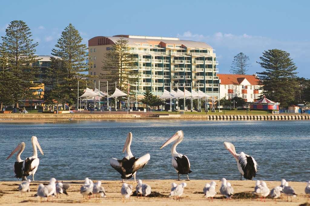 Oaks The Entrance Waterfront Suites Exterior foto